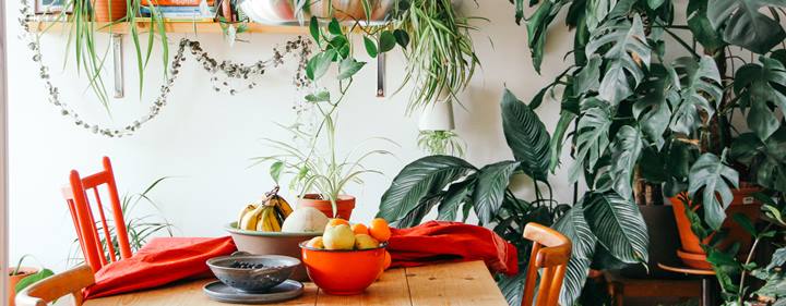 Haal de natuur in huis