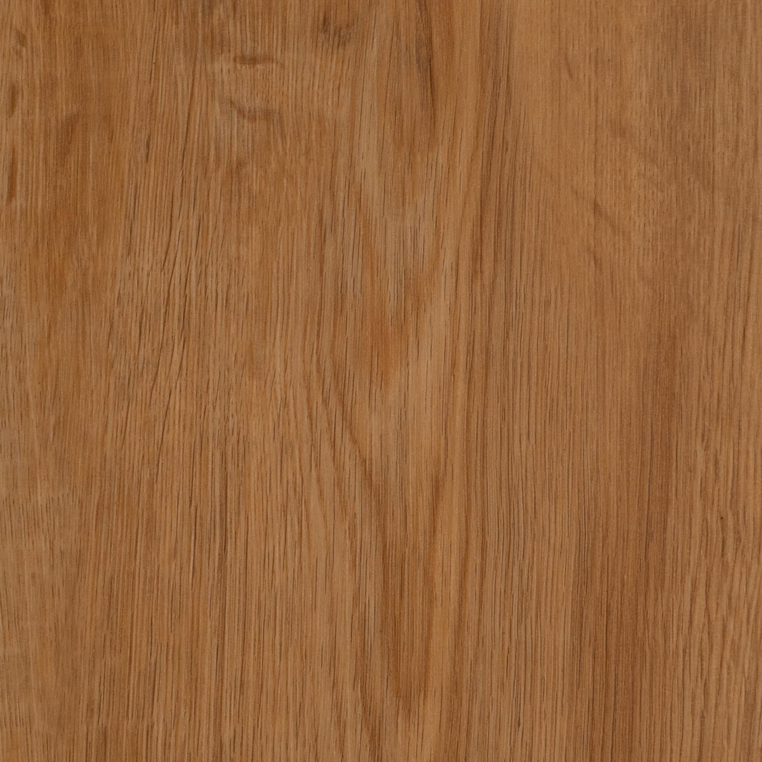 English Oak